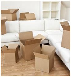 Mudanzas y Logistica