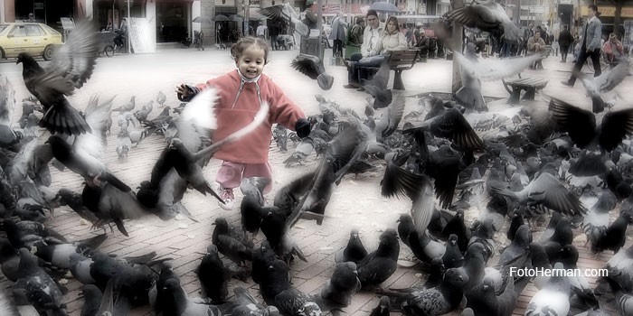 Niña en parque con palomas