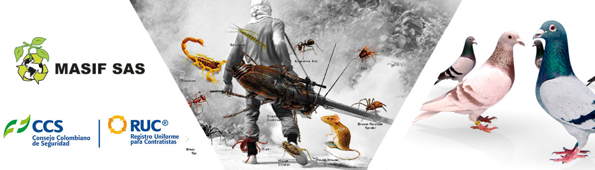 Banner control aves y plagas en Bogota