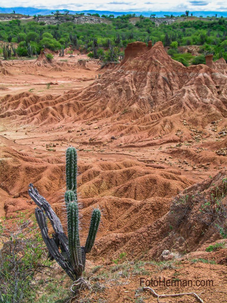 Desierto La Tatacoa