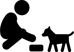 mascota con veterinario