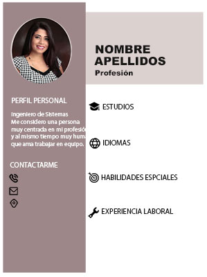 Ejemplo Hoja de Vida para solicitar empleo