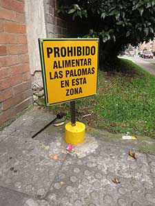 Servicio Control de Palomas en Bogota