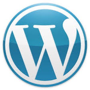 Logo CMS WordPress