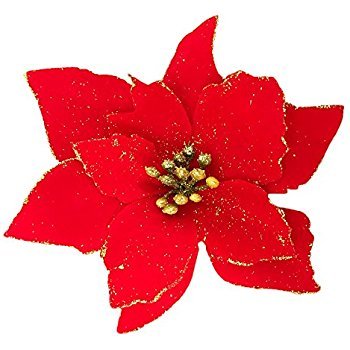 Venta Poinsettias Flor de Navidad Bogotá